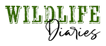 Wildlife Diaries